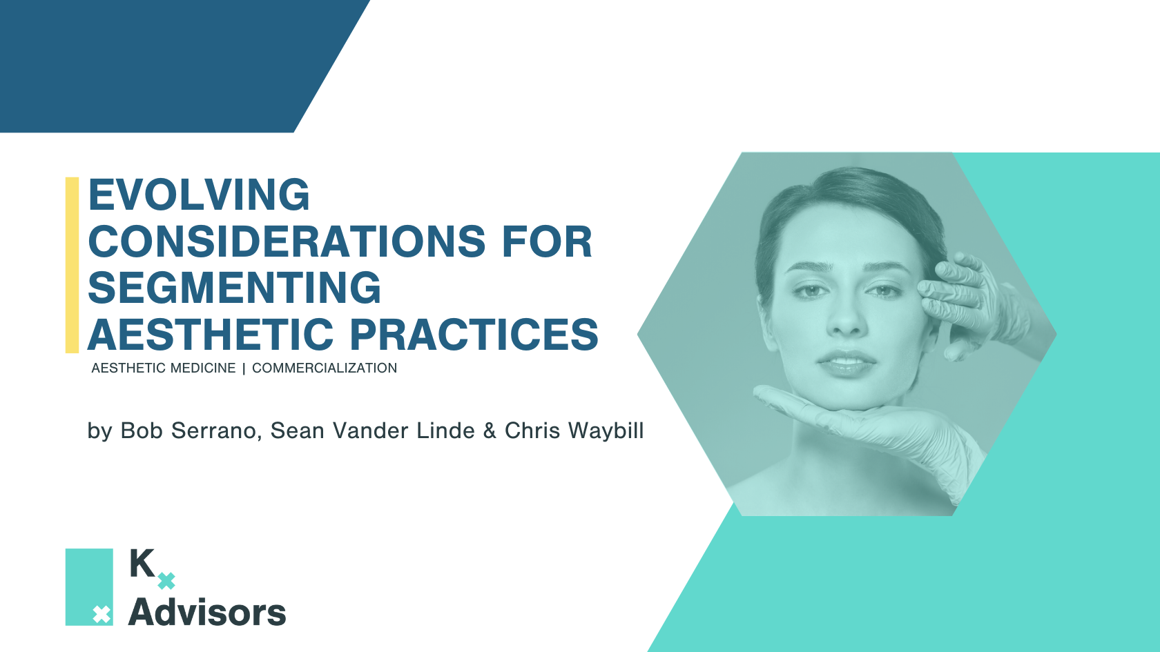 Evolving Considerations for Segmenting Aesthetic Practices